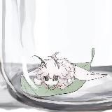 Euplocia