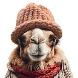 camelwif