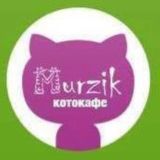 Котоклуб «MURZIK»