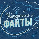 Интересные Факты🕒