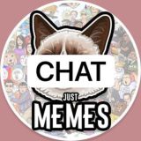 The Worst Memes - Chat