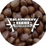 Kalashnikov Seeds catalog / RU