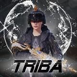TRIBA by ABSOLUTE