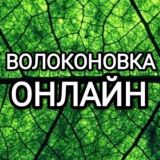 🇷🇺 Волоконовка онлайн