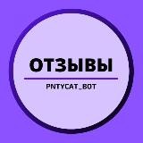 Отзывы PntyCatBot