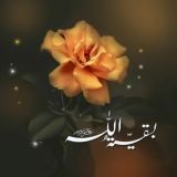 🍃منتظران مهدی🍃( عج)