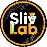 🔬 SlivLab 🧪 Крипто-лаборатория