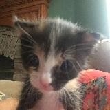 🐾Рей-Рей🐾
