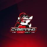 CyberRing | Рай для геймеров!