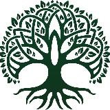 Waldkraft.bio