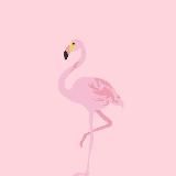 ᖴᒪᗩᗰIᑎGO🦩