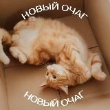 Кошкин дом