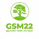 GSM22