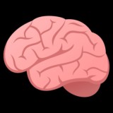 Мой мозг 🧠