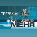 Трезвым меня не жди