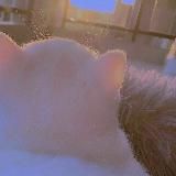 miori.txt ♡