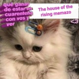 The house of the rising memazo