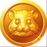 КОМБО и ШИФР Hamster Kombat | Комбо карточек и Ежедневный шифр в Хамстер Комбат