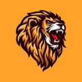 P2P LION | СХЕМЫ | СВЯЗКИ | АРБИТРАЖ