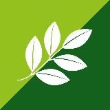 Марафон стройности Nutrilite™