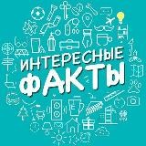 Интересные факты