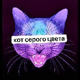 кот серого цвета