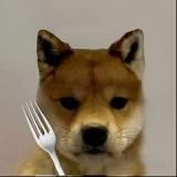 DogWifFork $FORK