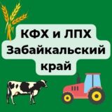 КФХ и ЛПХ Заб. край(ЧАТ)