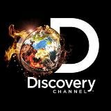 Discovery 🌏
