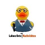 Lahme Ente | Nachrichten