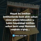 🌸BeGuBorim🌸TanHogiNam🌸DostLaR🌸