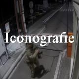 Iconografie