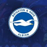 Brighton Hove Albion News