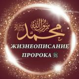 Жизнеописание посланника Аллаха (ﷺ)