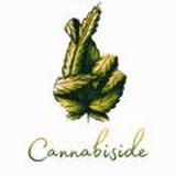 🌿Cannabiside📰