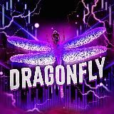 🤖 DRAGONFLY