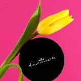 Anaminerals минеральная косметика