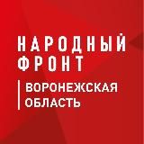 Народный фронт в Воронежской области