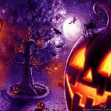 Flash 🎃 Блог