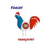 Forces Armées Françaises