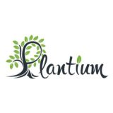 plantium.ru