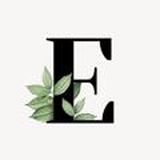 E-Files🌿