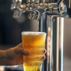 Cardano Social