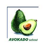 AVOKADO SCHOOL