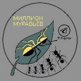 МИЛЛИОН МУРАВЬЁВ