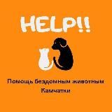 Help4animal