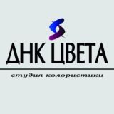 Студия Красоты DNK ЦВЕТА Алексеевский