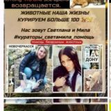 ❤️#кураторы_светамила_помощь Помощь хвостикам Ростов на Дону у нас 🐶🐱🦮🐕‍🦺🐕🐕🐈 почти 160 хвостиков