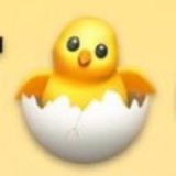 Цыплята 🐣