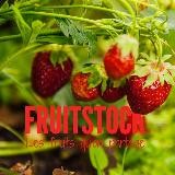 FRUITSTOCK